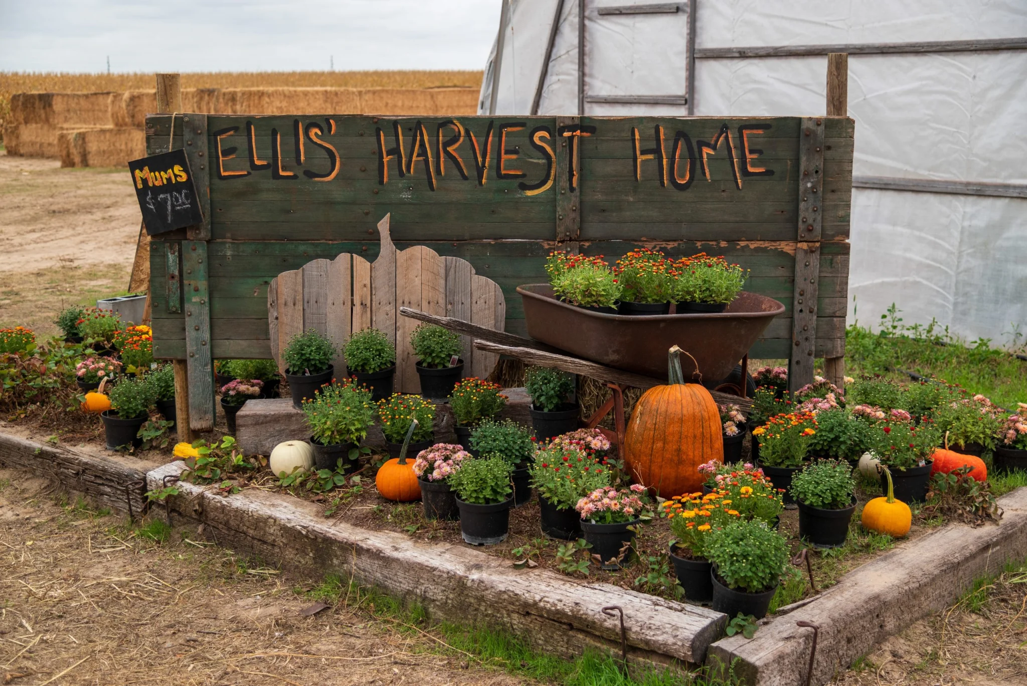 144602366e08b659e191175398a9c08b